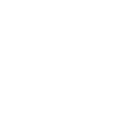 Aimsun Licenser